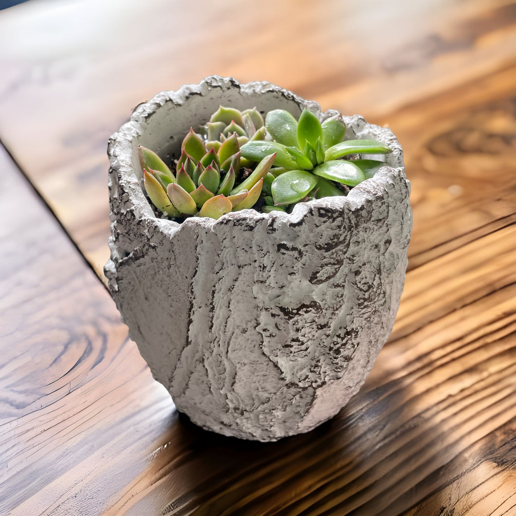 White Ceramic Fossil Planter with Liner