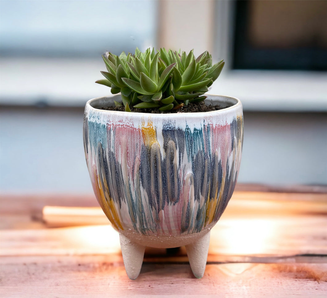 Oasis Pot with Succulent Included